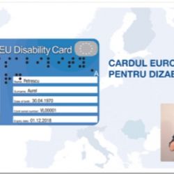 Articol - Cardul European Pentru Dizabilitate, Fara Bariere Prin Europa ...